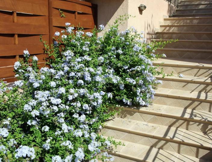 Provenzo And Meliti Villas Lourdata  Dış mekan fotoğraf